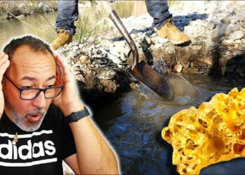 Comment trouver des fossiles facilement ?