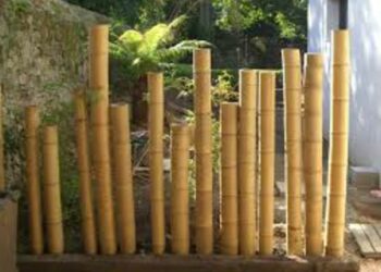 Comment utiliser des tiges de bambou ?