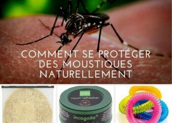 Comment utiliser la citronnelle pour éloigner les moustiques ?