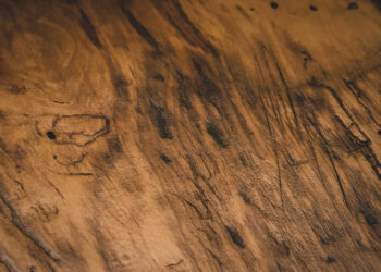 Comment utiliser le bois récupéré dans les hôtels pour offrir une expérience client