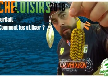 Comment utiliser les Bee ?