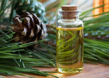 Comment utiliser les fragrances ?