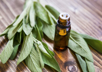 Comment utiliser l'huile essentielle de sauge pour la ménopause ?