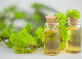 Comment utiliser un brûleur huile essentielle ?