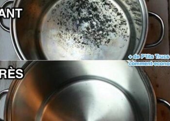 Comment utiliser une cassole ?