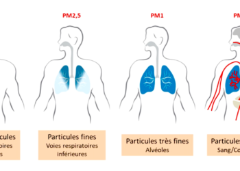 Est-ce dangereux de respirer de la peinture ?
