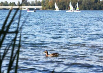 Est-ce que Bordeaux Lac est ouvert ?