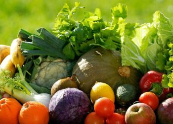 Est-ce que bébé doit manger de la viande tous les jours ?