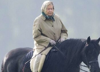 Est-ce que la reine peut faire le cheval échec ?