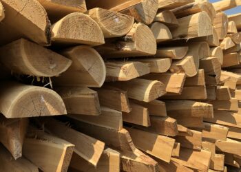 Est-ce que l'acacia est un bois solide ?