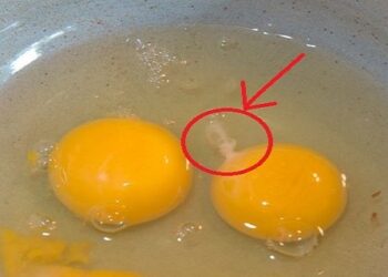 Est-ce que le blanc d'œuf est bon pour la peau ?