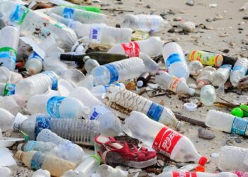 Est-ce que le film plastique passe au four ?