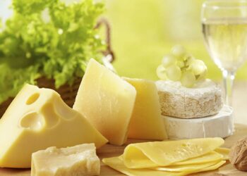 Est-ce que le fjord est un fromage blanc ?