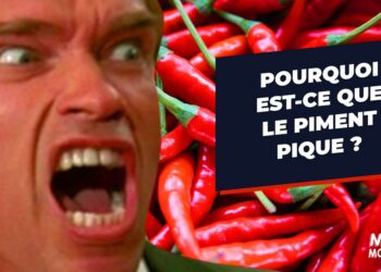 Est-ce que le magenta est rouge ?