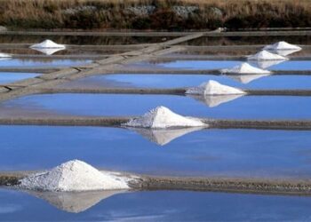 Est-ce que le sel fin salé plus que le gros sel ?