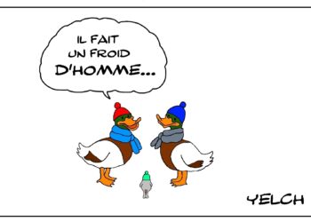 Est-ce que les canards ont froid ?