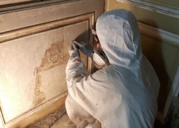 Est-ce que les leds enlève la peinture ?