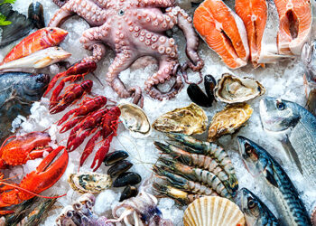 Est-ce que les poissons sont des fruits de mer ?