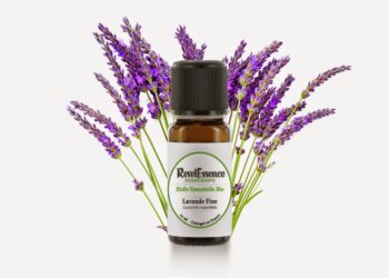 Est-ce que l'huile essentielle de lavande est toxique ?