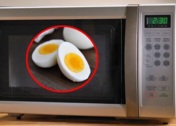 Est-ce que un micro-onde peut exploser ?