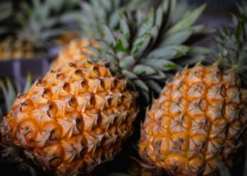 Est-ce qu'un ananas repousse ?