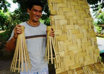 Est-ce qu'un bambou coupe repousse ?