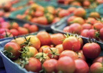 Est-elle un fruit ou un légume ?