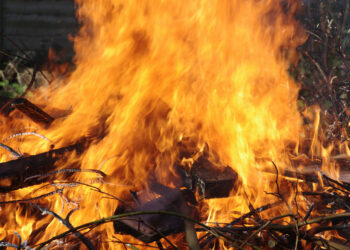 Est-il autorisé de faire du feu dans son jardin ?
