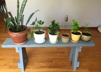 How do you make an indoor wooden plant stand?