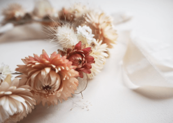 Où acheter des fleurs de Pampa séchées ?