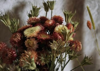 Où acheter des fleurs sèches ?