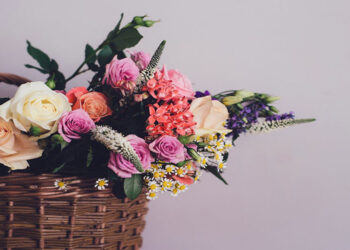 Où acheter fleur sèche ?