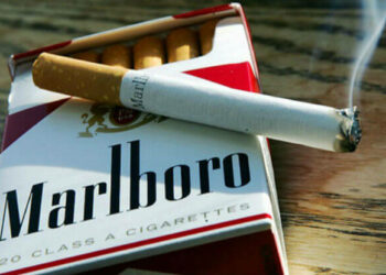 Où acheter ses assiettes ?