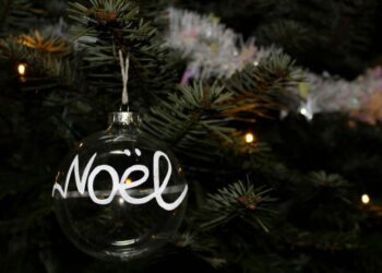 Où acheter son sapin de Noël 2021 ?