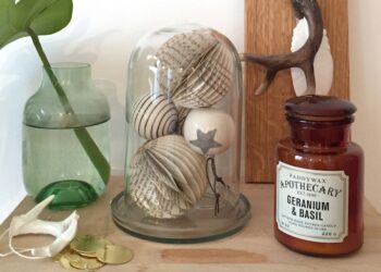 Où acheter verre INAO ?