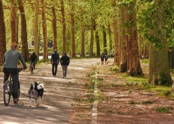 Où aller se balader le soir à Londres ?