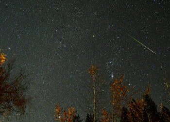 Où aller voir les étoiles filantes ?