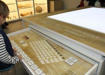 Où commander Viga+ ?