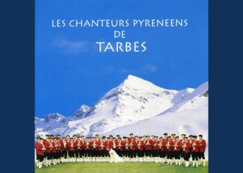 Où dorment les Bergeronnettes ?