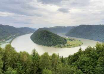 Où est le plus célèbre et le plus beau des sapins ?