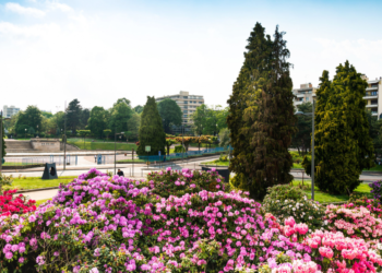 Où il y a des IKEA en France ?