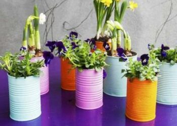 Où jeter des pots de fleurs en plastique ?
