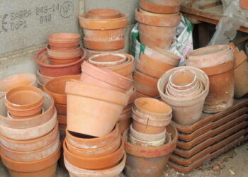 Où jeter la terre des pots de fleurs en ville ?