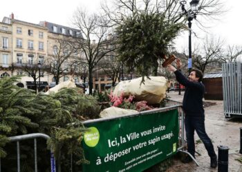 Où jeter son sapin Gironde ?