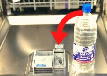 Où mettre le barbecue ?