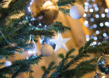 Où mettre le sapin de Noël ?