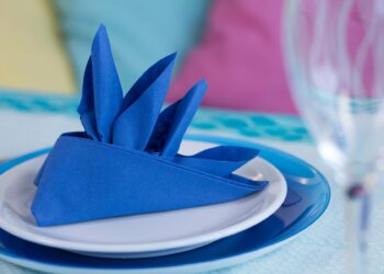 Où mettre les serviettes en papier ?