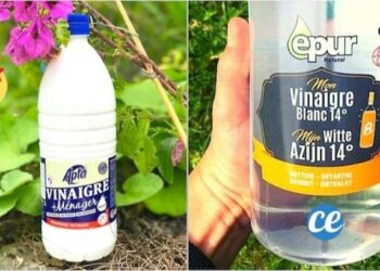 Ou ne pas utiliser le vinaigre blanc ?