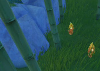 Où placer des bambou ?