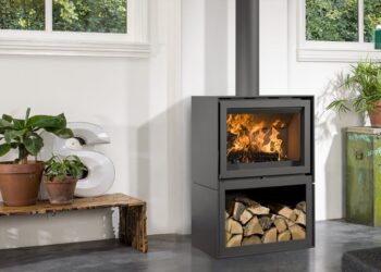 Où placer un pilea ?